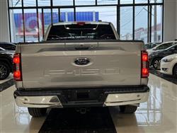فۆرد F-150
